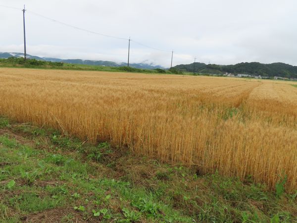 IMG_1708.JPG