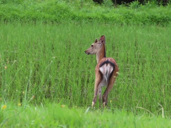 IMG_1713.JPG